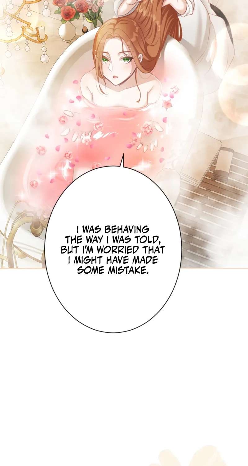 The Unhappy Poison Witch's Happy Marriage Chapter 3 - page 64
