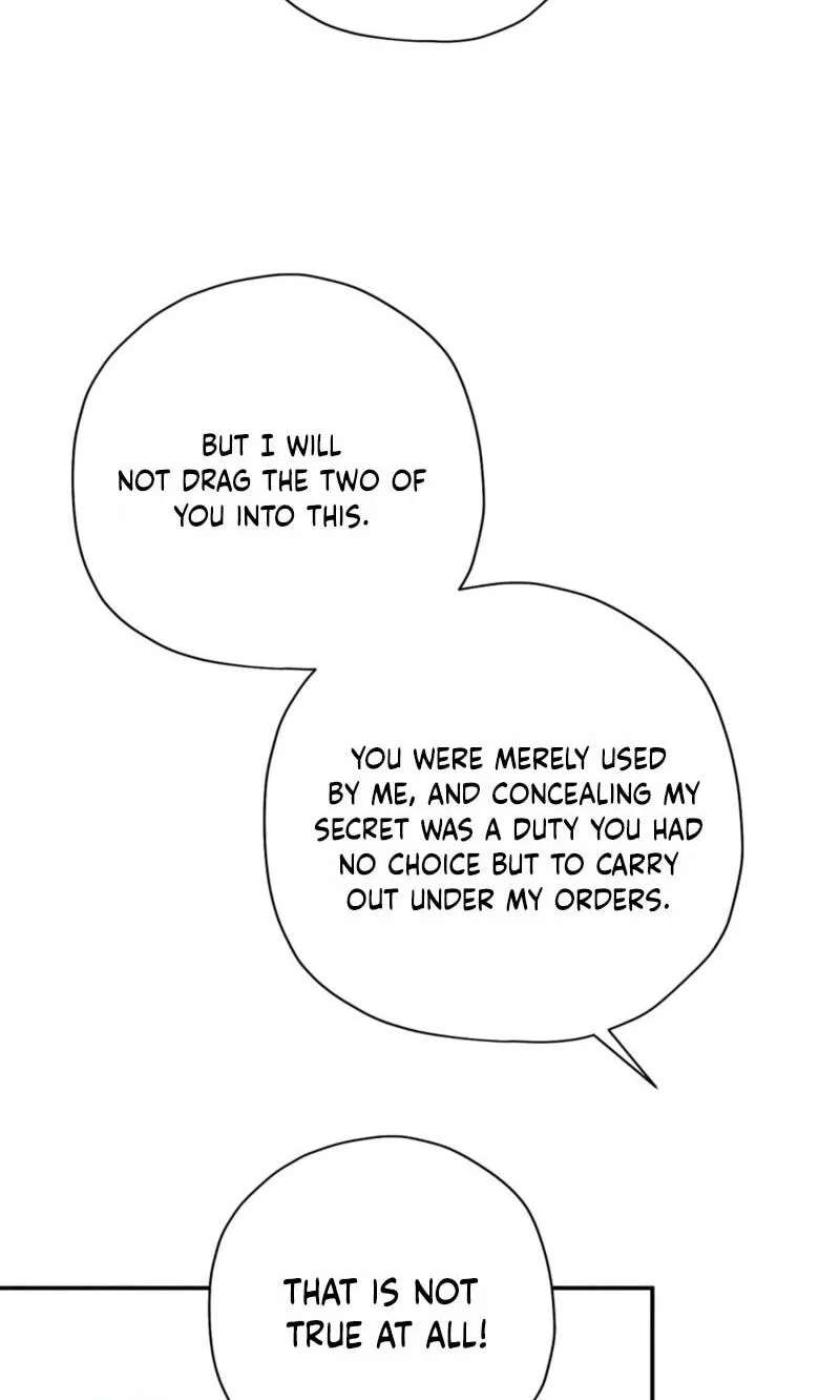 The Rogue Prince Is Secretly An Omega Chapter 111 - page 9