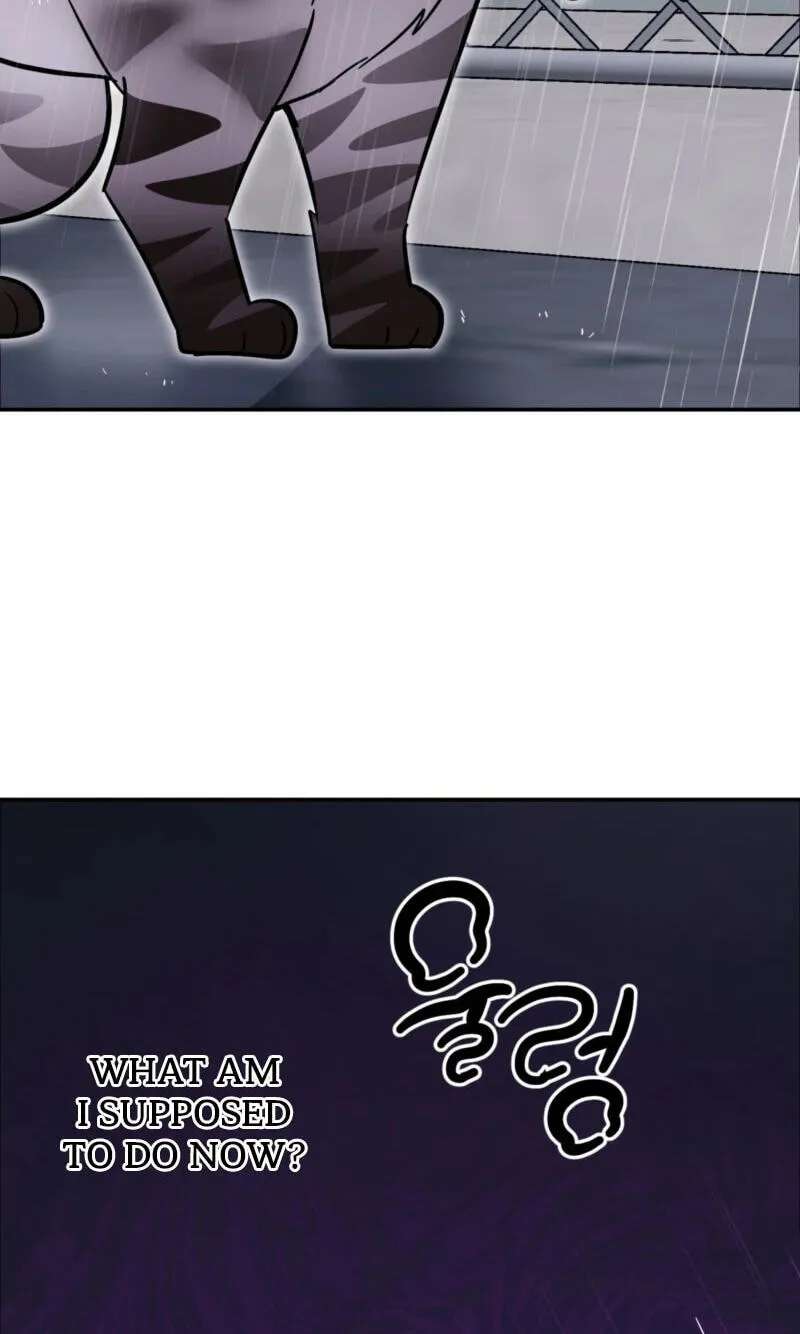 Give Birth to a Baby Wildcat for Me, Unless You Want to See Me Go Insane! Chapter 38 - page 89