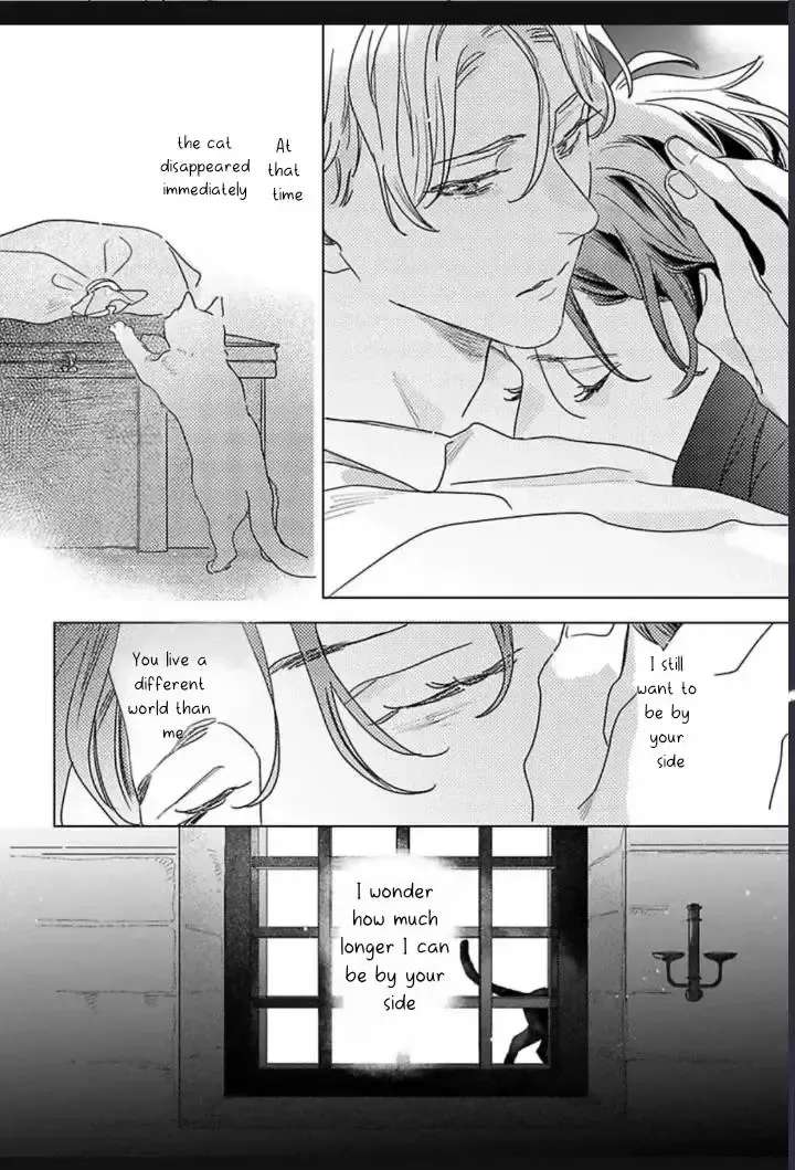 Twinkling Secrets Told Us Tonight Is the Night. Chapter 2 - page 31