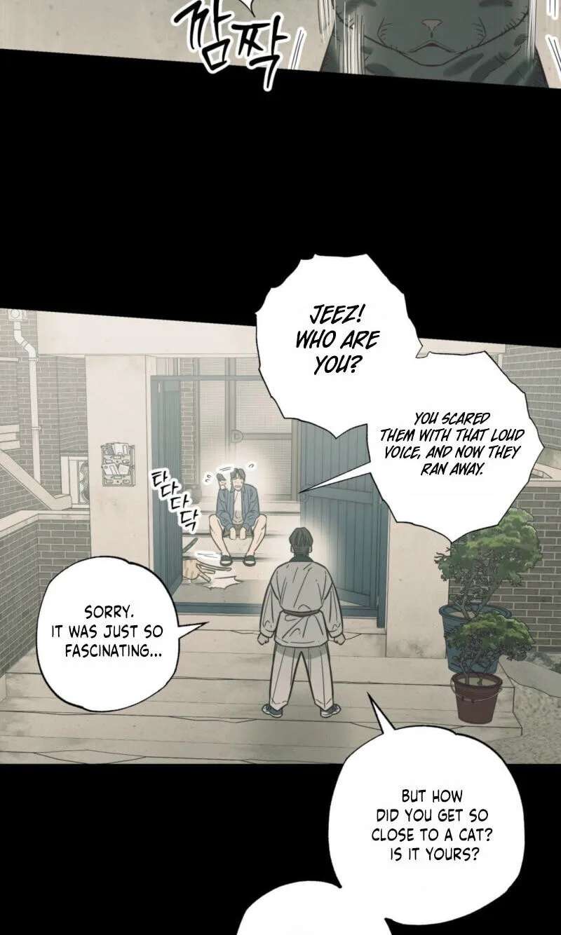 Cat Choice Chapter 28 - page 11
