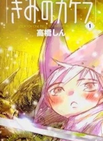 Kimi no Kakera