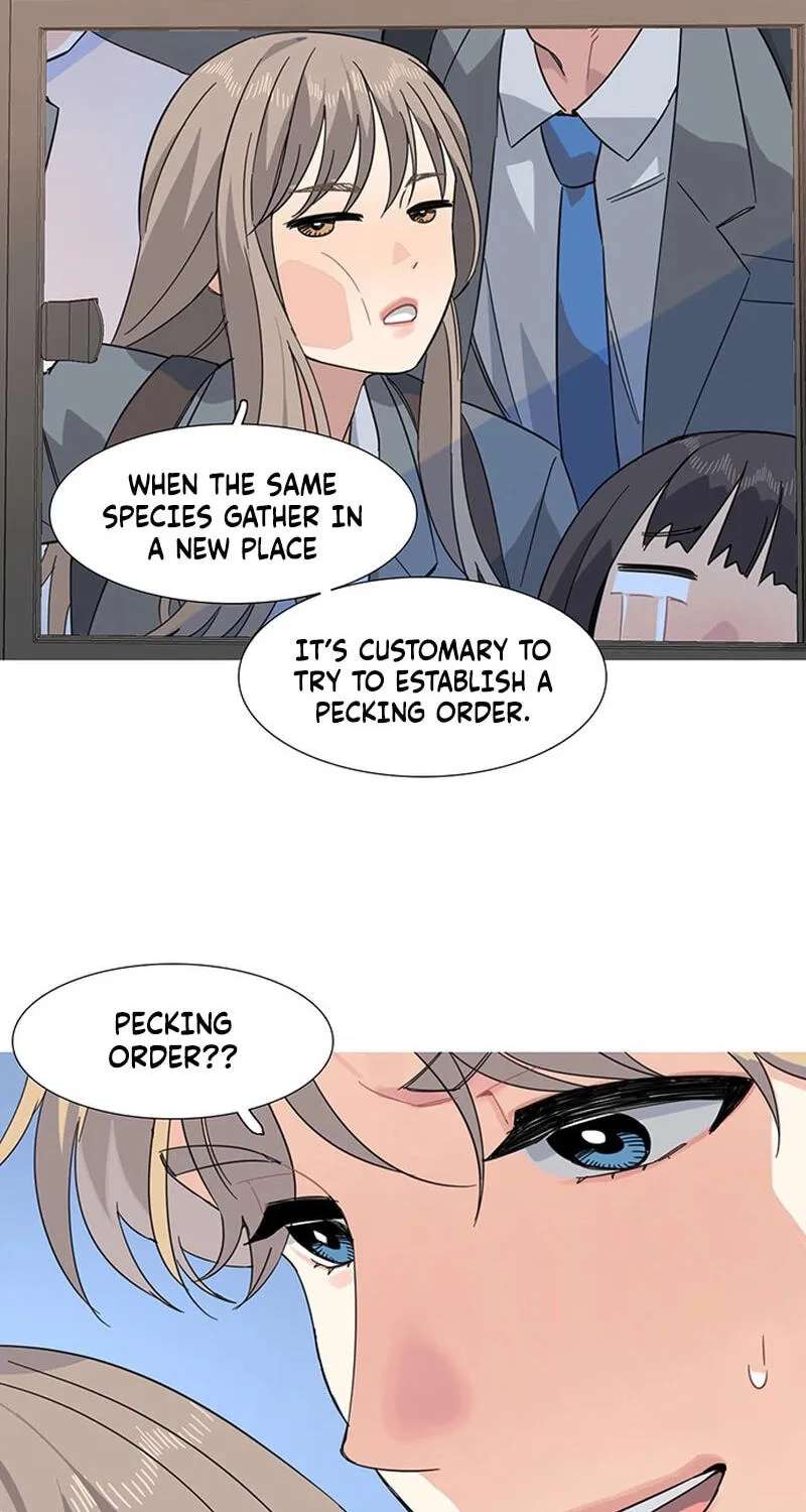 Youth Observation Chapter 1 - page 46