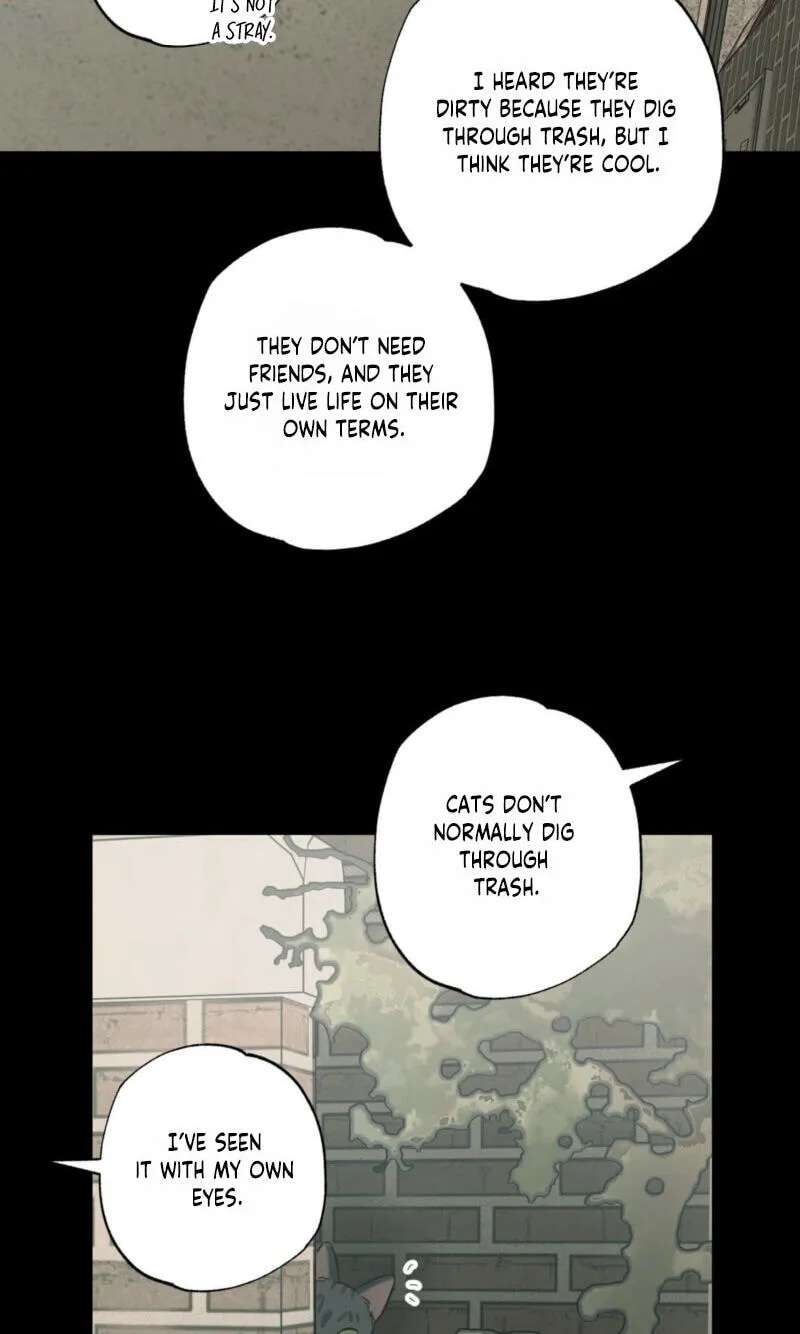 Cat Choice Chapter 28 - page 14