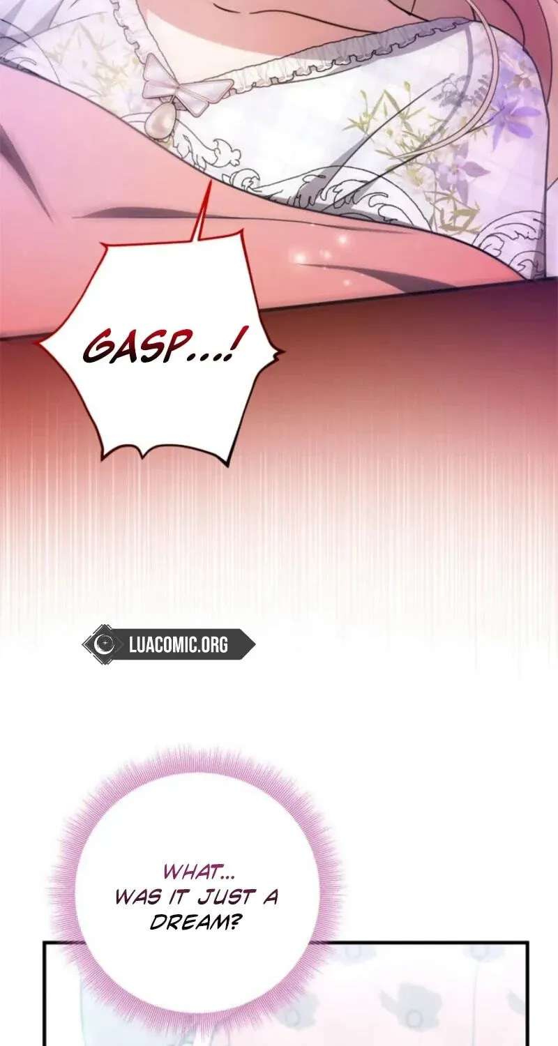 The Count's Beloved Contract Young Lady Chapter 45 - page 47