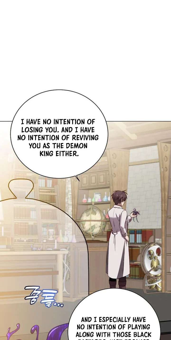 The Max Level Hero Strikes Back Chapter 245 - page 27