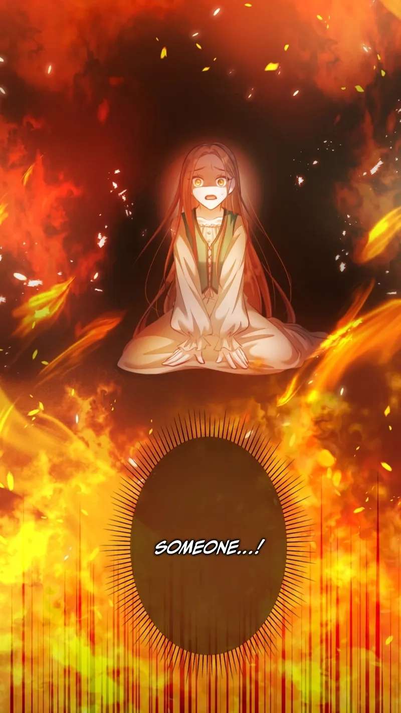 The Unhappy Poison Witch's Happy Marriage Chapter 3 - page 4