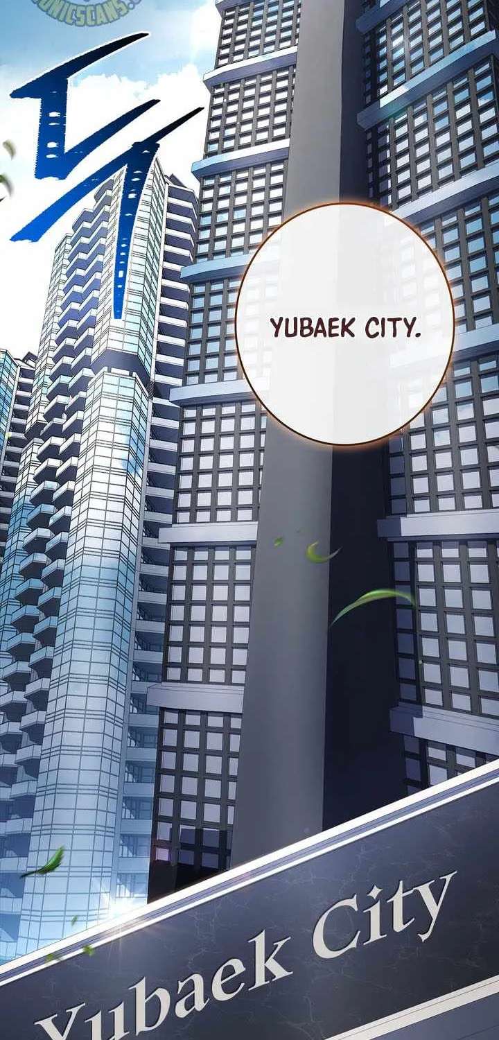 Only I Have an EX-Grade Summon Chapter 42 - page 43