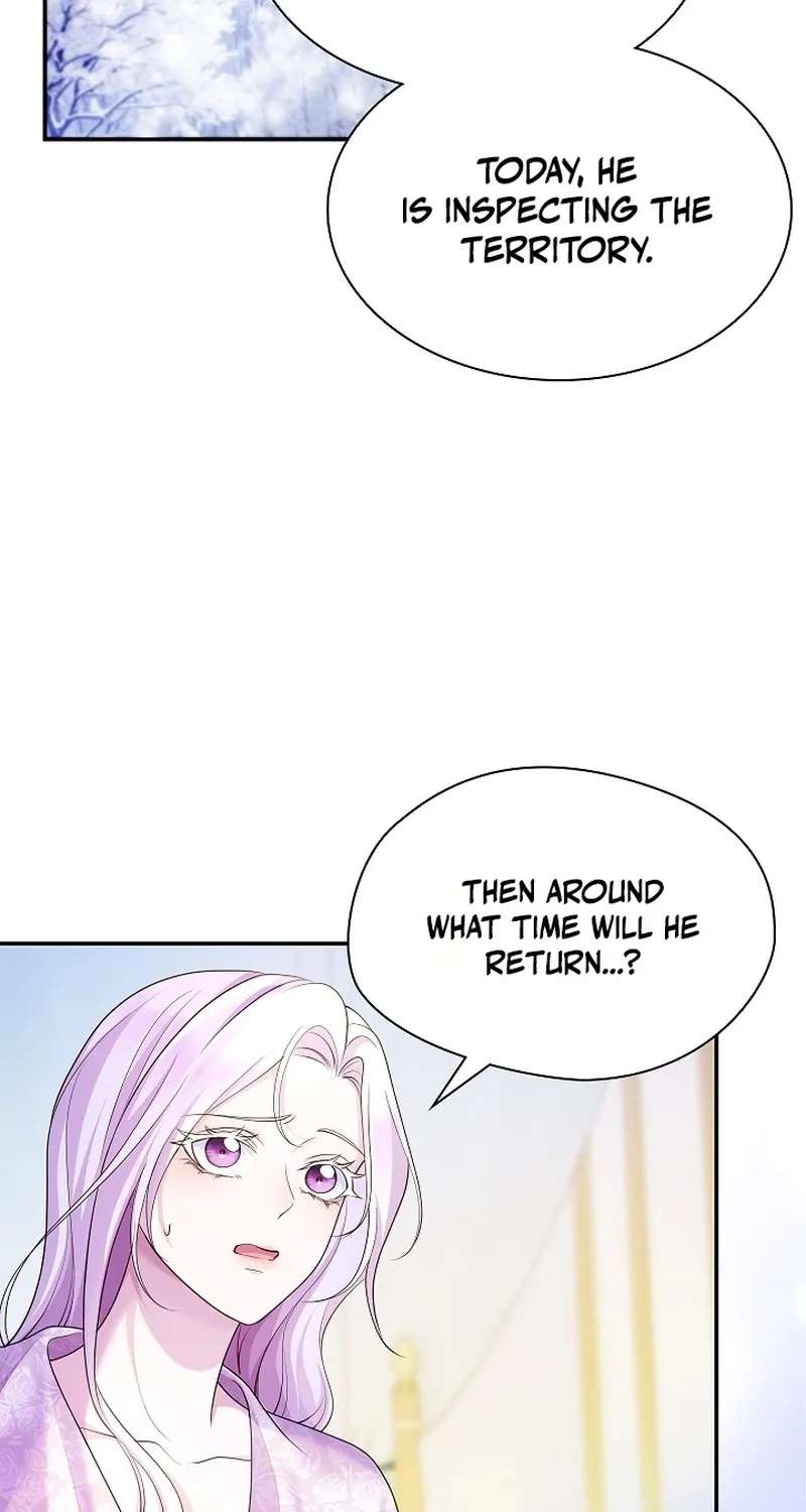 The Grand Duchess Disappeared on a Silent Night Chapter 22 - page 27