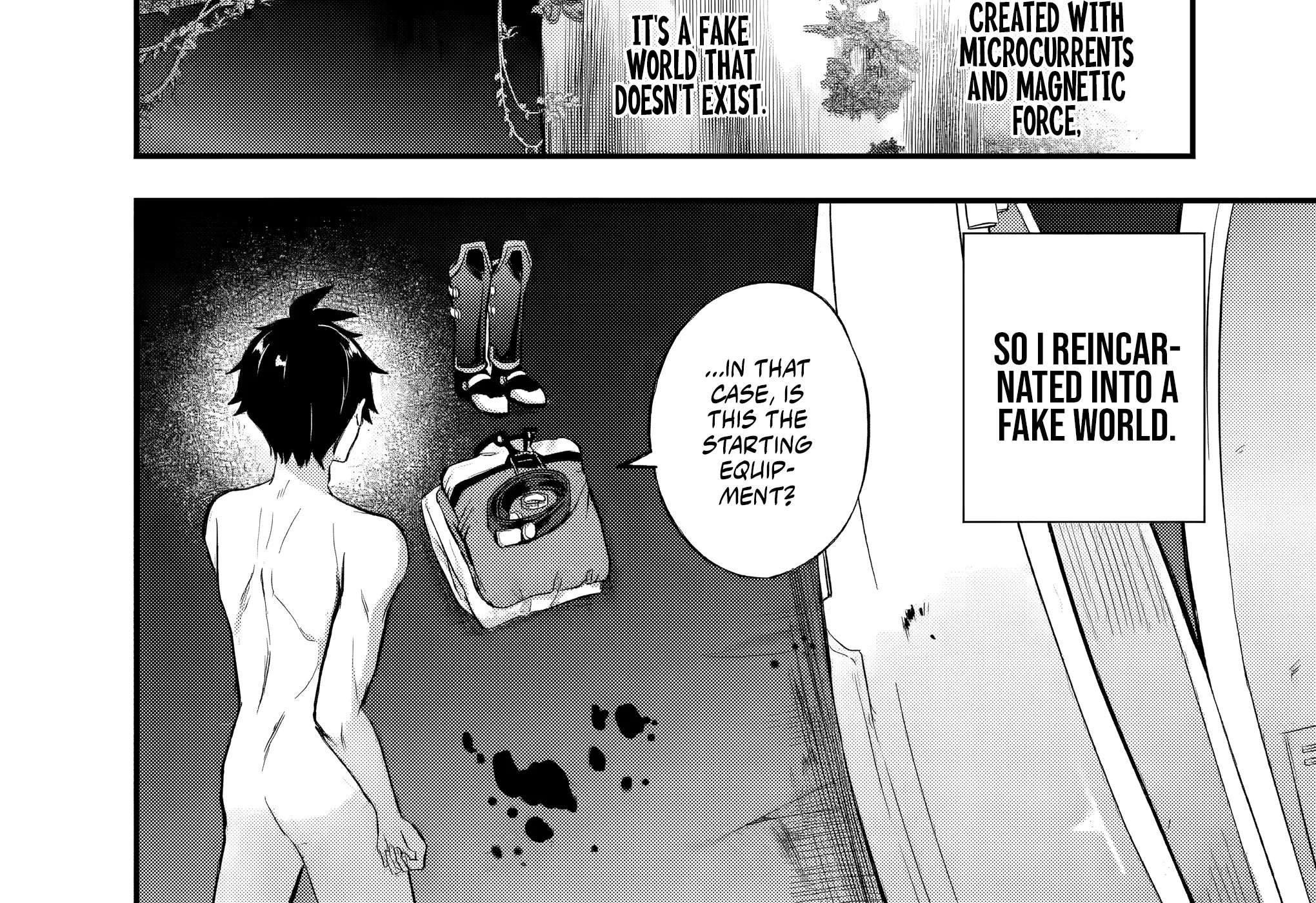 Reincarnation in a False World Chapter 1.2 - page 17