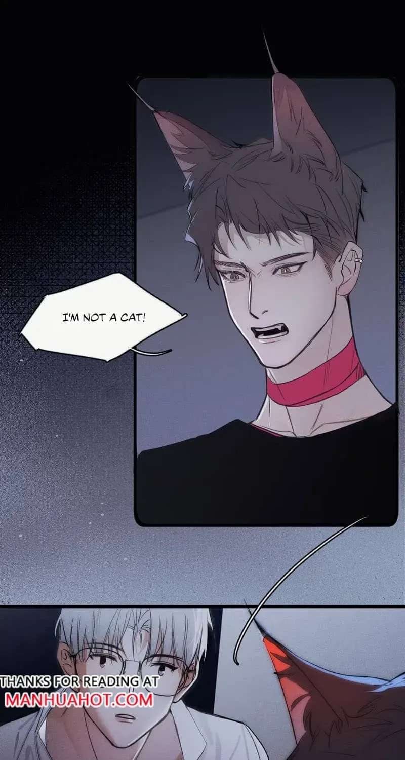 Bait For Returning to The Cage Chapter 2 - page 34