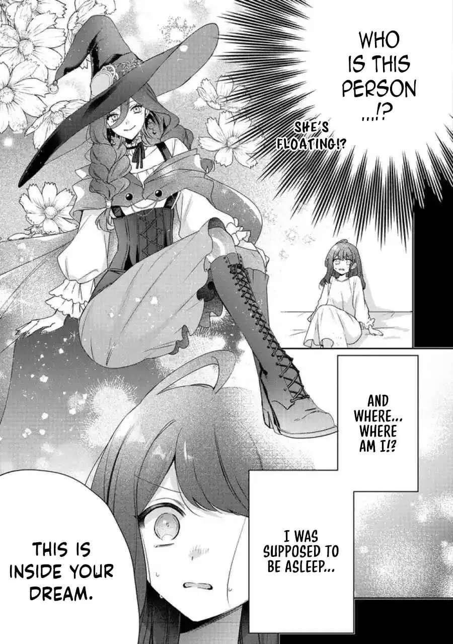 My Fiancé, Who Used to Hate Me, Turned into a Squirrel and Came to Me for Help. Chapter 5 - page 20