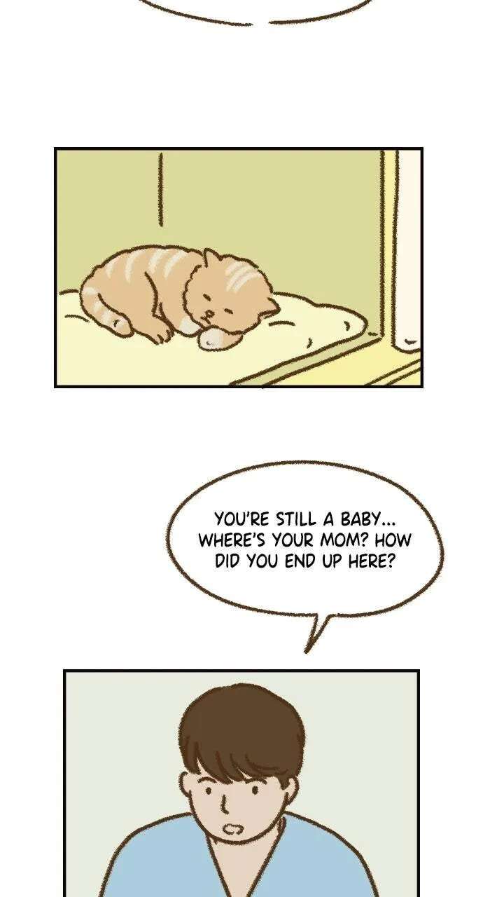 The Memory Shop Chapter 92 - page 33
