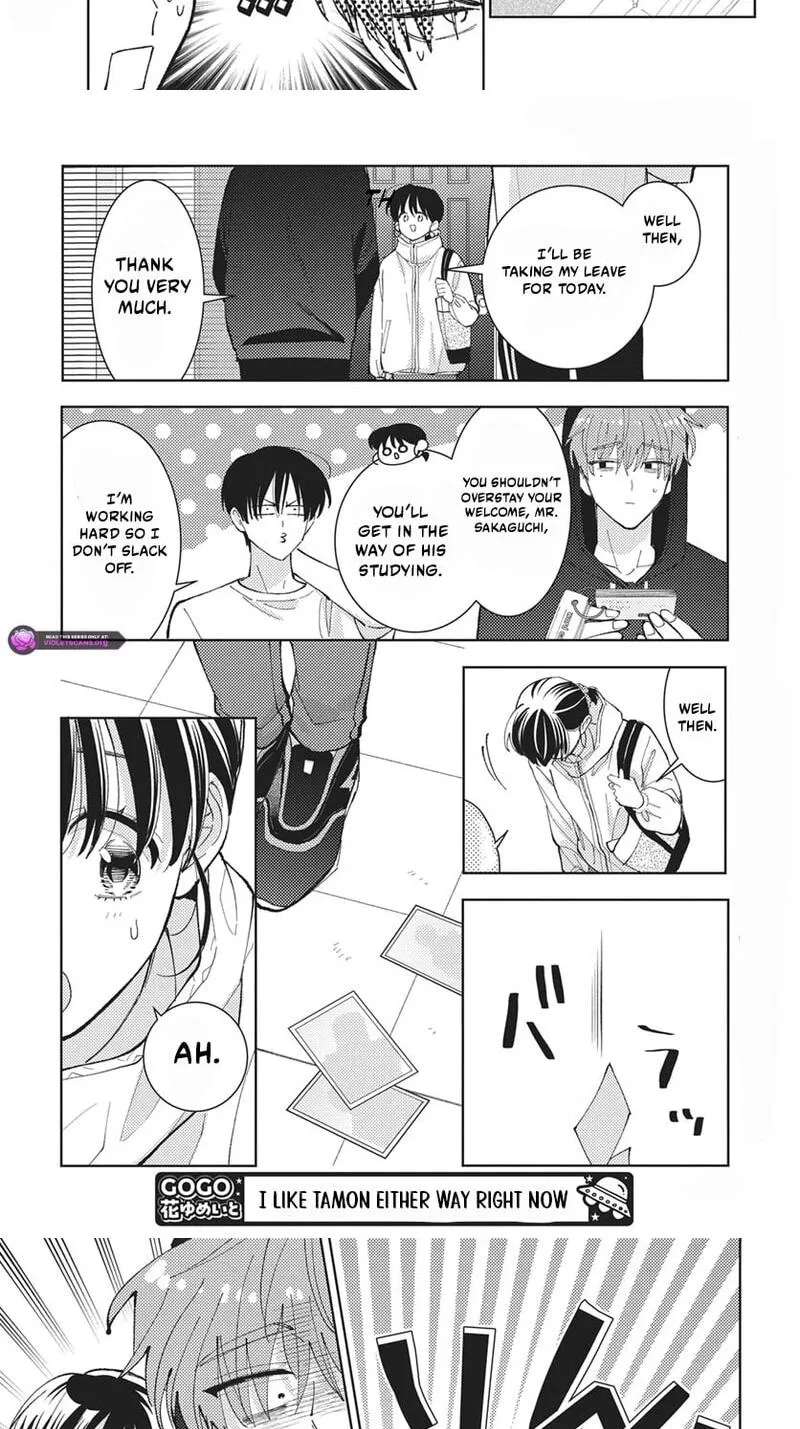Tamon-Kun Ima Docchi?! Chapter 84 - page 4