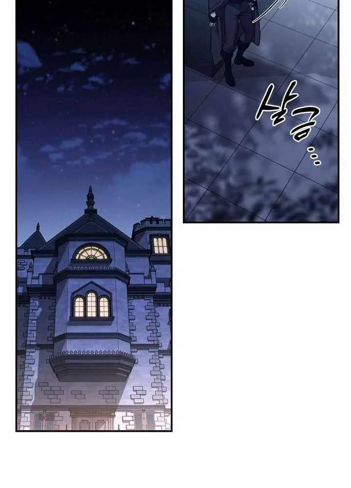 Margrave’s Bastard Son Was The Emperor Chapter 124 - page 71