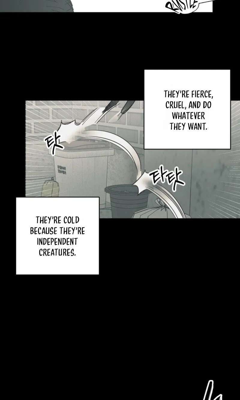 Cat Choice Chapter 28 - page 4