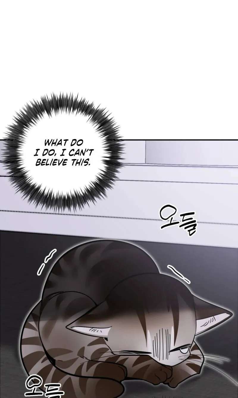 Give Birth to a Baby Wildcat for Me, Unless You Want to See Me Go Insane! Chapter 38 - page 68
