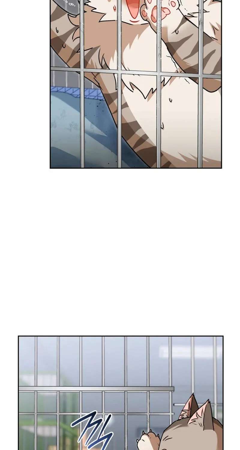 Hello, Mr. Veterinarian! Chapter 146 - page 66