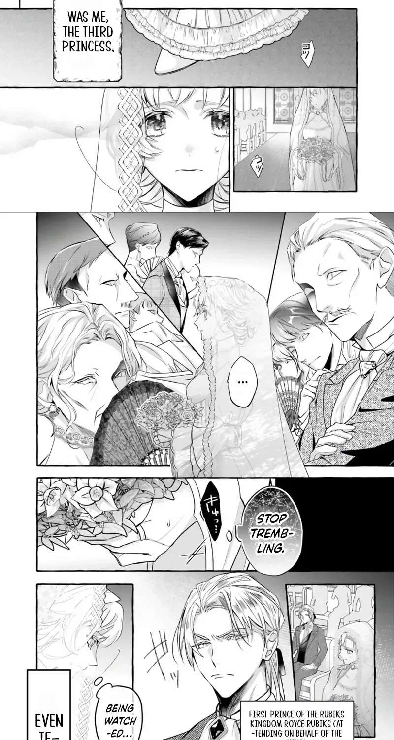 The Ruthless Emperor Is Doting on the Hostage Princess Chapter 1 - page 10