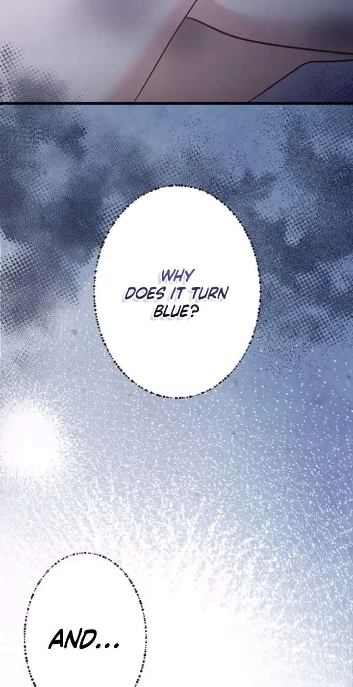 The Cold Prince's Sweet Witch Chapter 16 - page 47