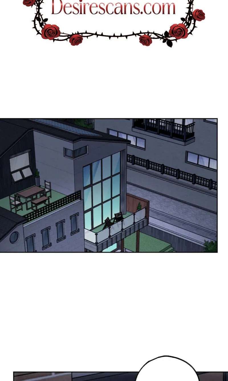 The Purrfect Match Chapter 45 - page 2