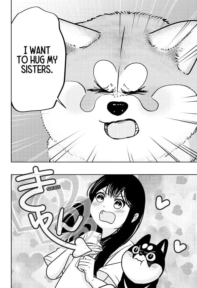 Shiba-Tsuki Bukken Chapter 59 - page 20