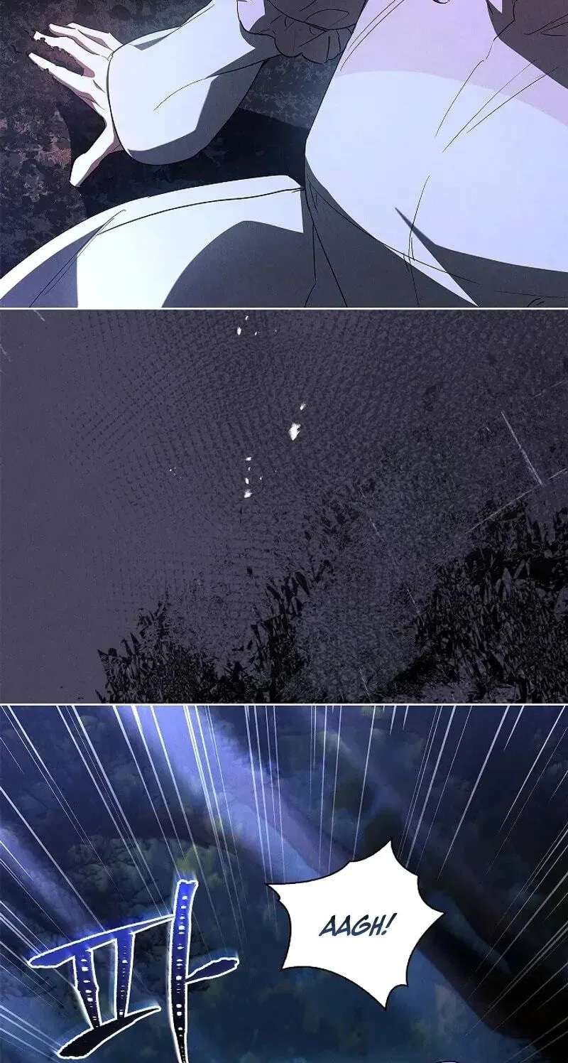 Regarding the Perfect Revenge Chapter 32 - page 5