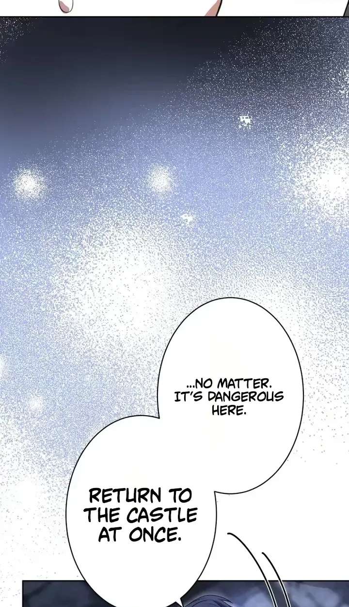 Don't Obsess Over the Fake Princess! Chapter 42 - page 14