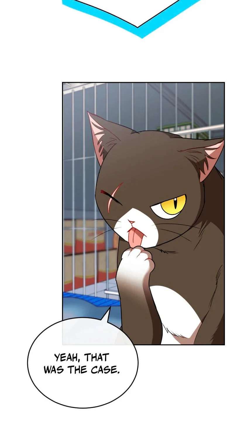 Hello, Mr. Veterinarian! Chapter 146 - page 11
