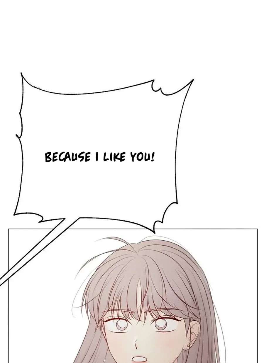 The Perfect Male Lead Chapter 62 - page 5