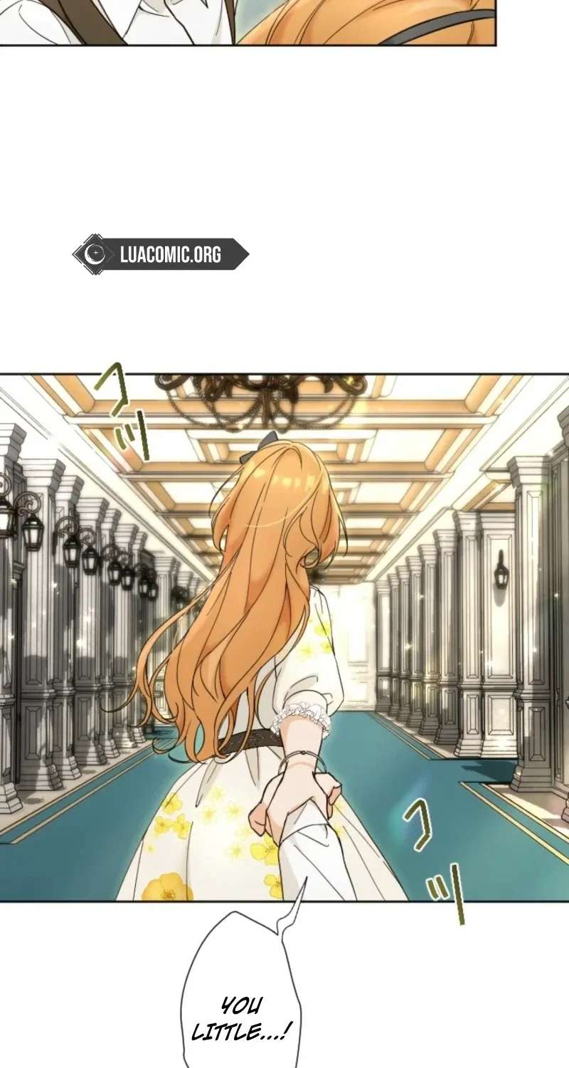 Became part of the family with the four brothers of the ducal Chapter 36 - page 35