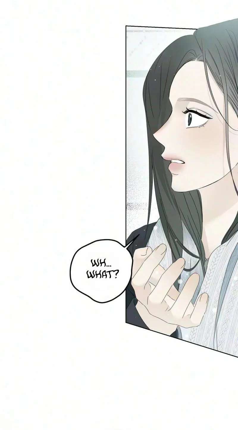 Marriage Subscription Lottery Chapter 15 - page 57