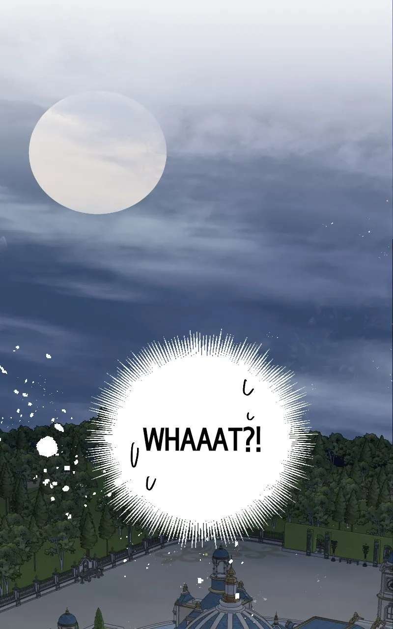 Mending the BarbaricPrince's Wounds Chapter 16 - page 1