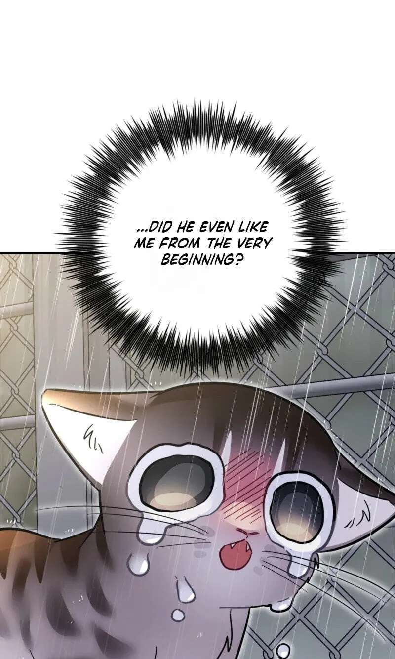 Give Birth to a Baby Wildcat for Me, Unless You Want to See Me Go Insane! Chapter 38 - page 88