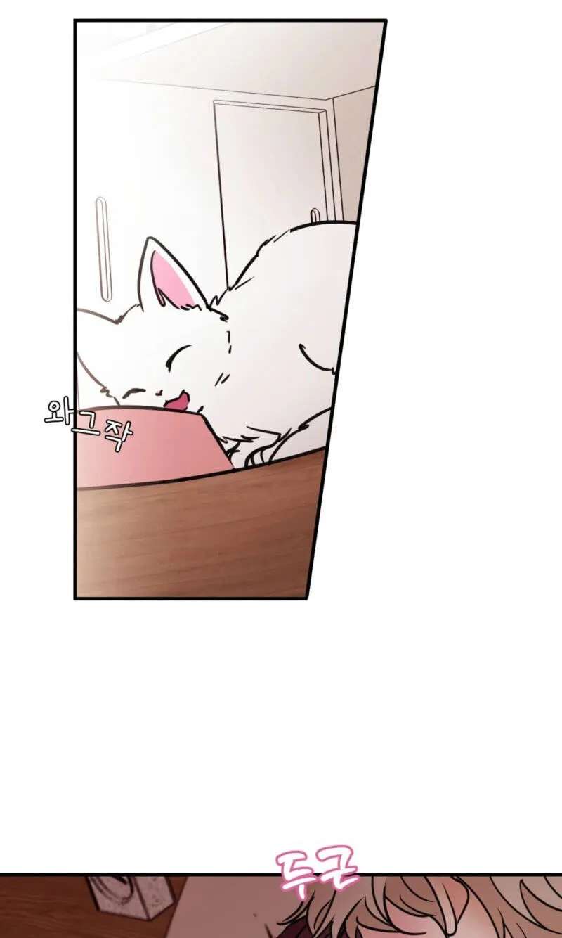 Involuntary Romance Chapter 54 - page 2