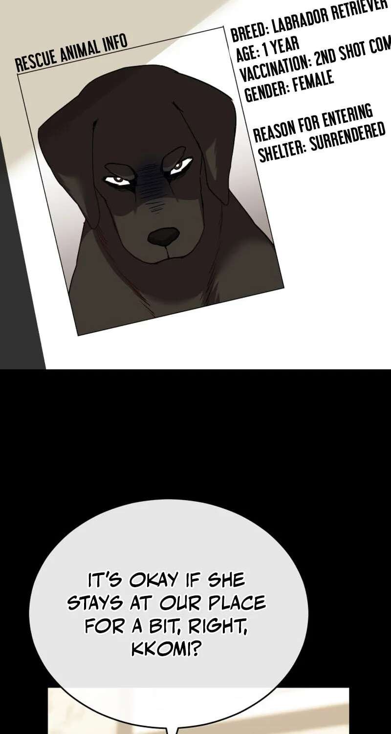 Hello, Mr. Veterinarian! Chapter 145 - page 21