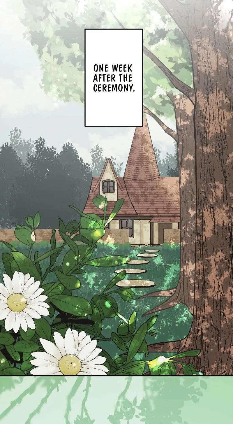 Dansei Fushin no Moto Reijou wa, Koushoku Denka wo Tasukeru Koto ni shita. Chapter 31 - page 2