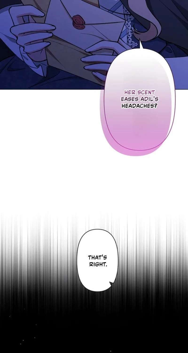 The Enemy King’s Substitute Bride Chapter 46 - page 67