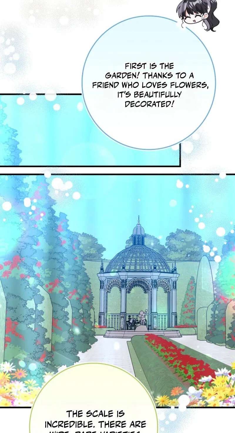 The Killer Whale's Comfort Penguin Chapter 90 - page 42