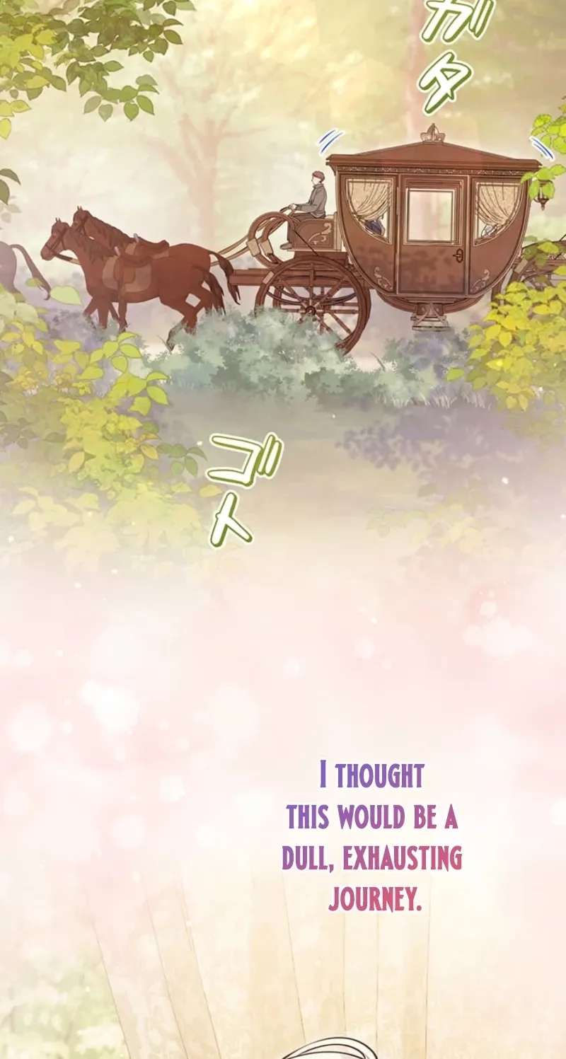 The Enemy King's Substitute Bride Chapter 47 - page 16