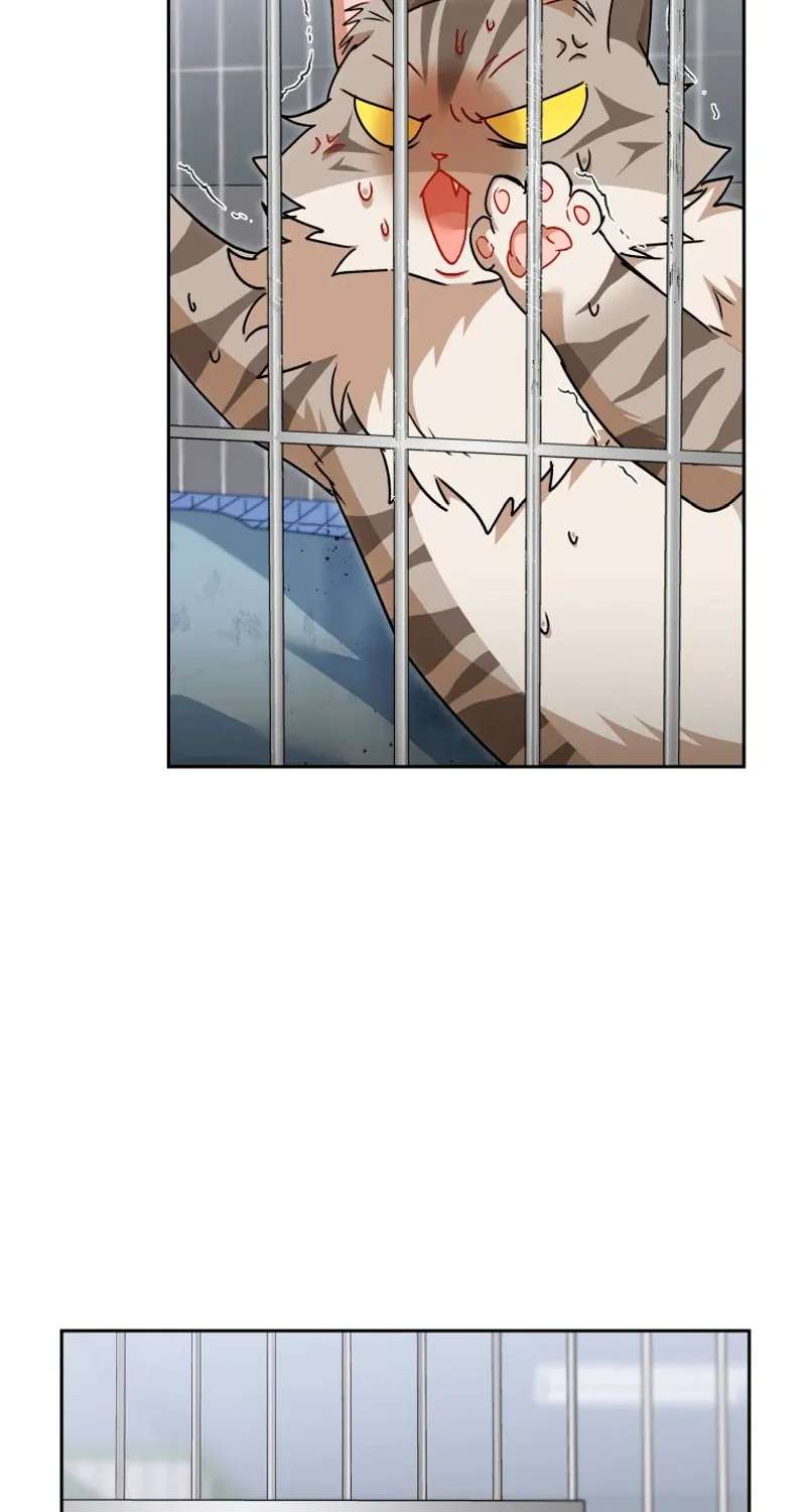 Hello! Veterinarian! Chapter 146 - page 69