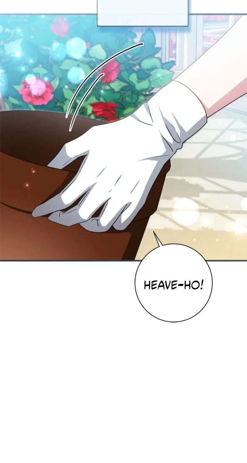 The Count's Beloved Contract Young Lady Chapter 44 - page 35