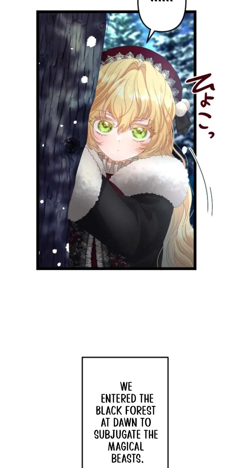 The Prince of Calamity Wants a Fake Princess Chapter 17 - page 19