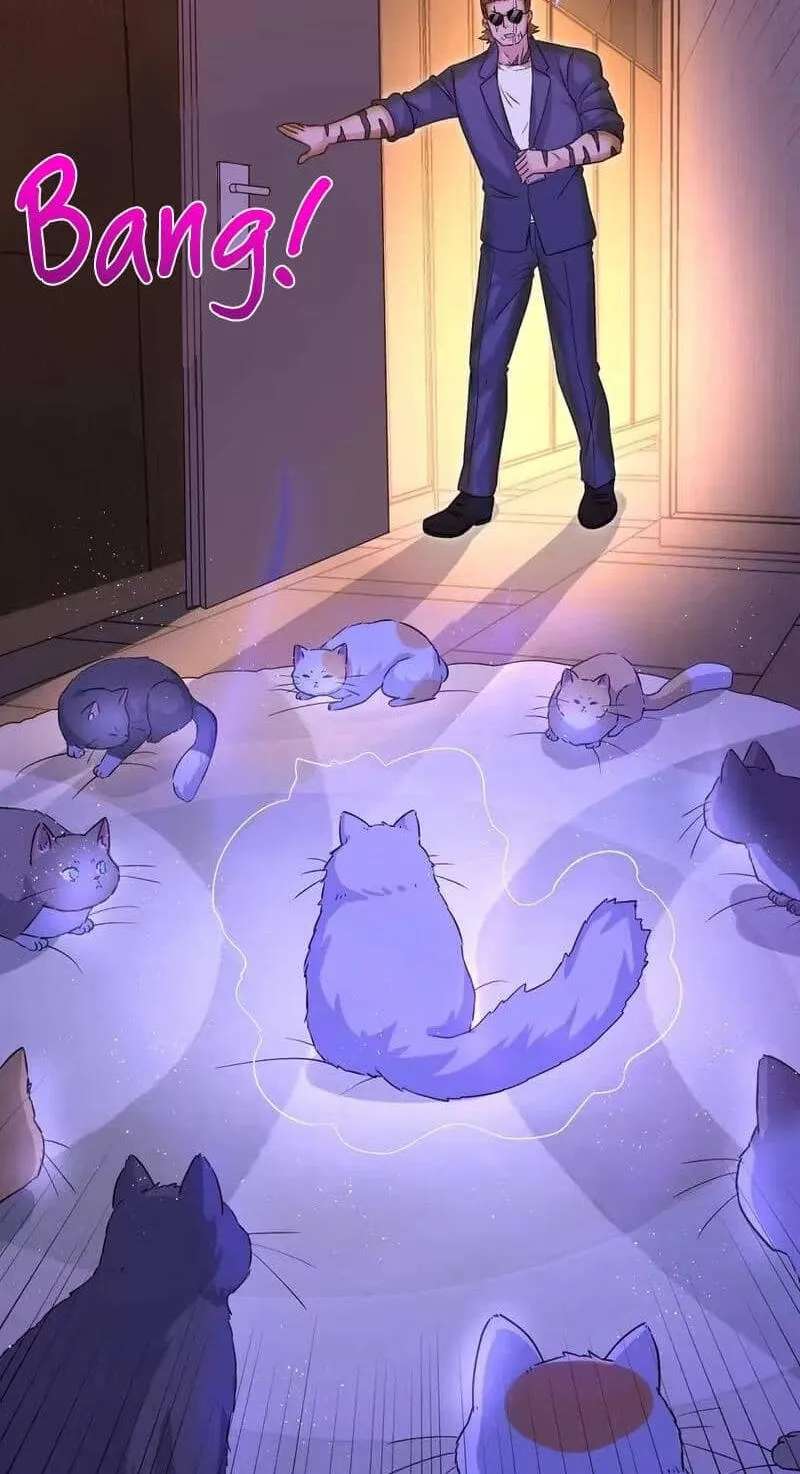 A Cat Has Nine Lives Chapter 46 - page 28