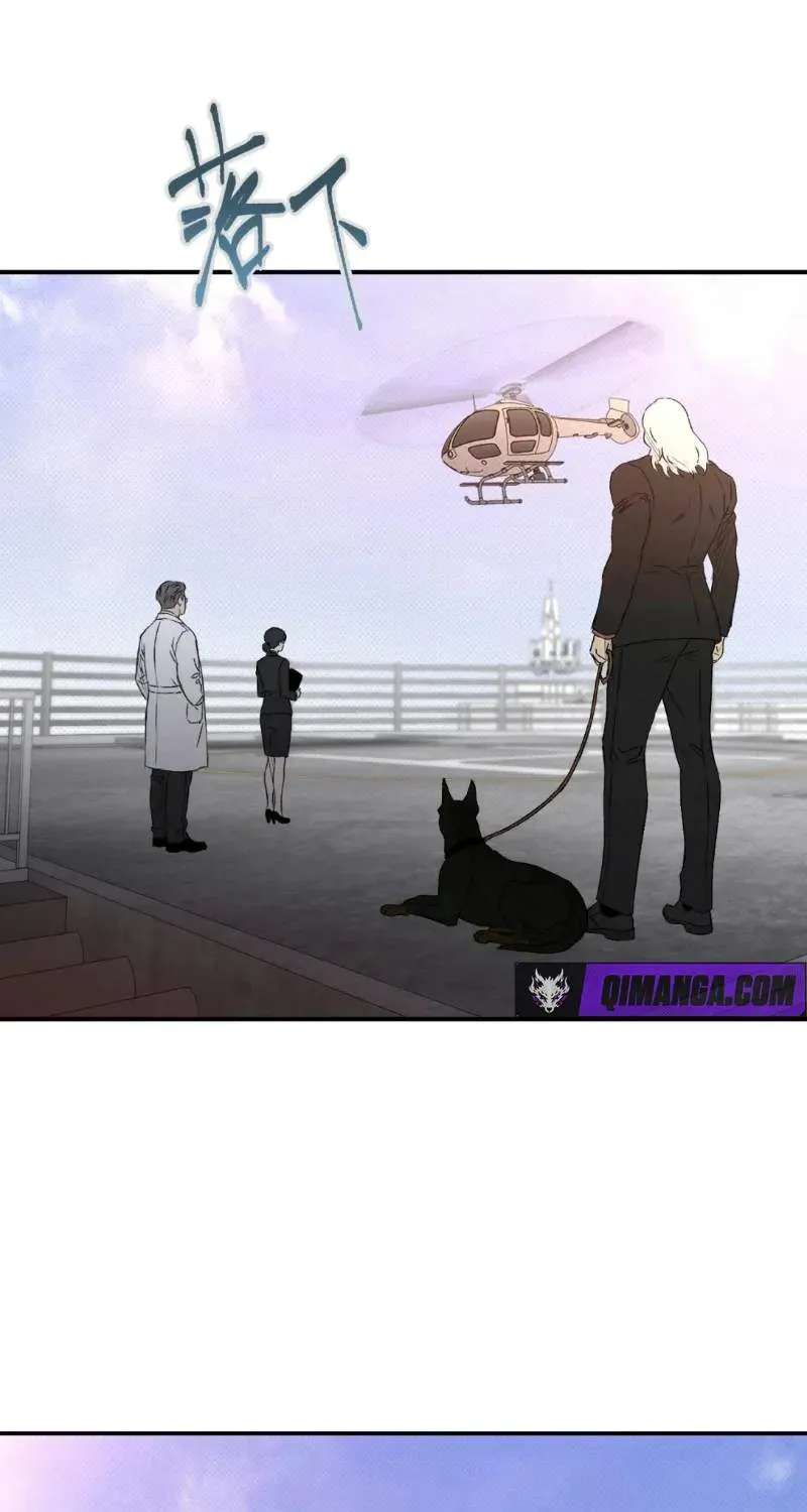 Dog Eat Dog Chapter 6 - page 49