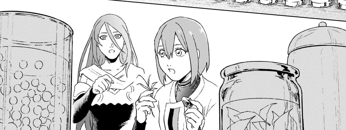 Ikinokori Renkinjutsushi wa Machi de Shizuka ni Kurashitai: Rinkan no Mahou-yaku Chapter 24.2 - page 8