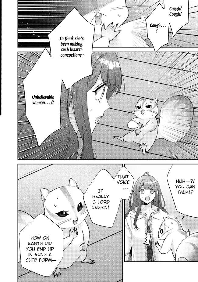 My Fiancé, Who Used to Hate Me, Turned into a Squirrel and Came to Me for Help. Chapter 1 - page 35