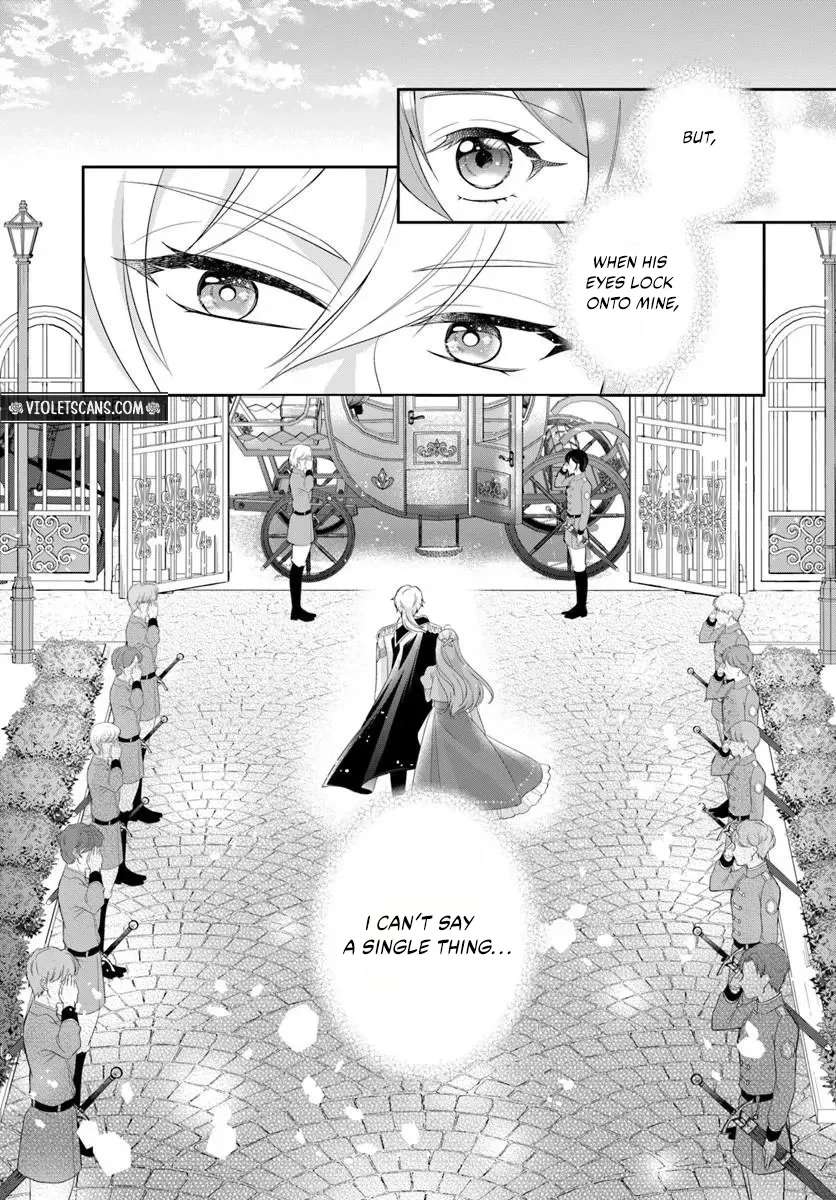 Watashitachi Rikon Shimasunode Ikenie Reijou to Reikoku Hunjin no Kanpekinaru Rikon Keikaku Chapter 1 - page 26
