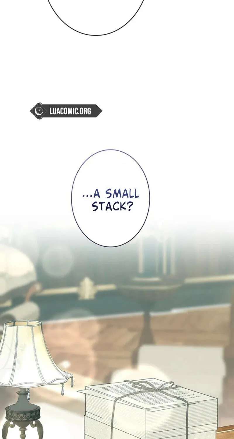 I Was Supposed to Be a Stalker Lady, but Somehow I’m Being Adored Instead Chapter 51 - page 13