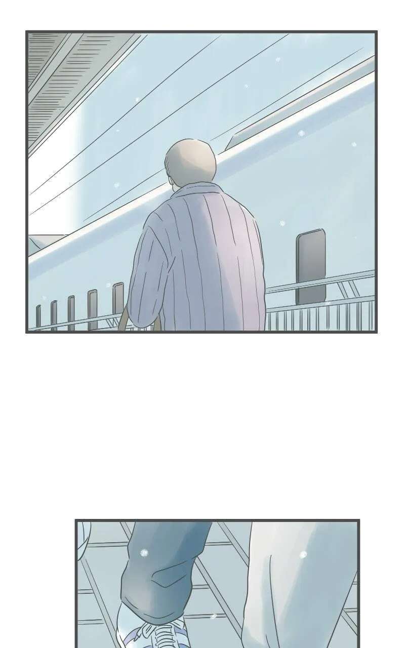 Taisetsu na Hi wa Itsumo Ame Chapter 223 - page 50